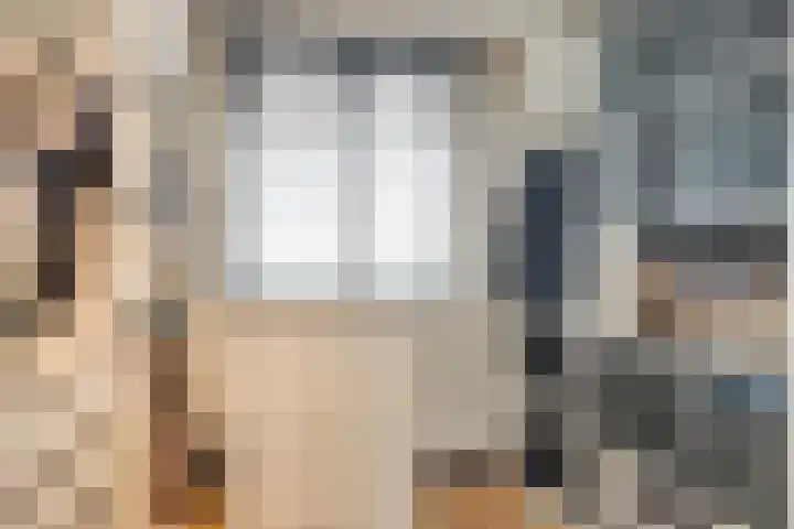 Samanthagang 30 Zoetermeer thumbnail 29
