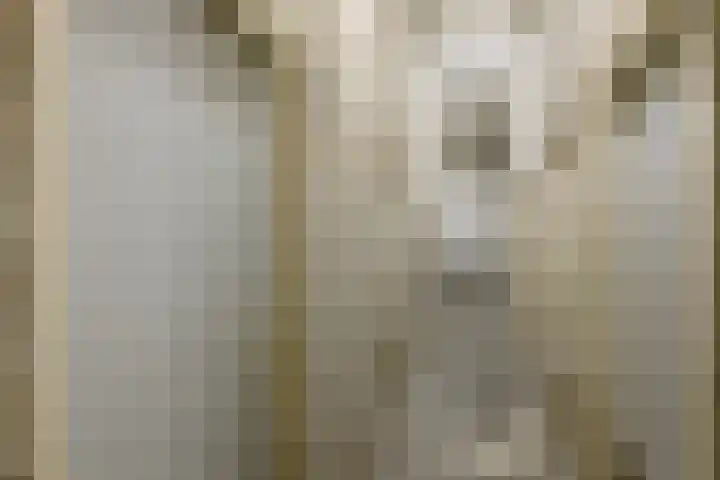 Samanthagang 30 Zoetermeer thumbnail 32
