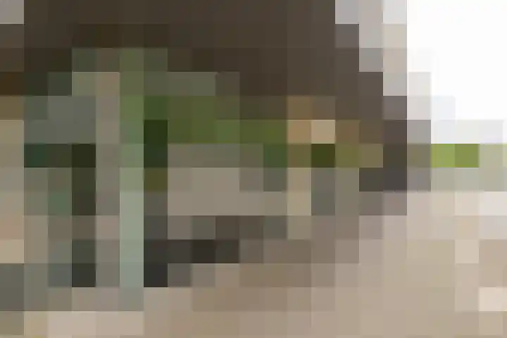 Samanthagang 30 Zoetermeer thumbnail 6