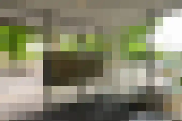 Samanthagang 30 Zoetermeer thumbnail 8