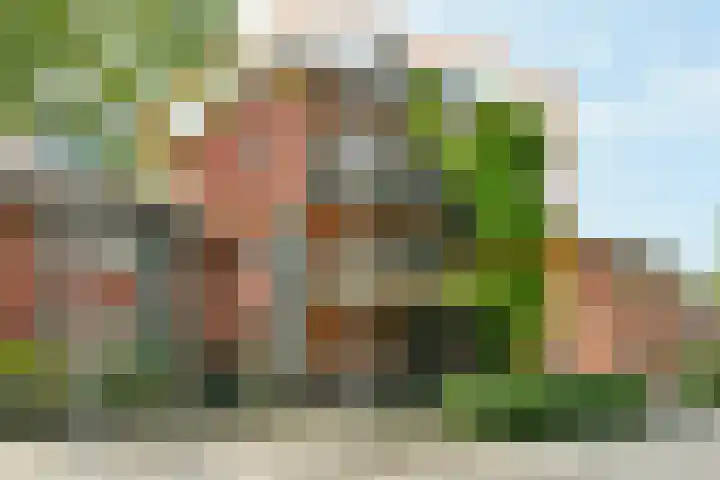 Samba 6 in Nieuw-Vennep