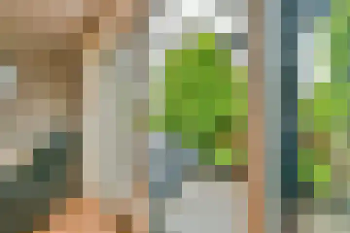 Samba 6 Nieuw-Vennep thumbnail 14