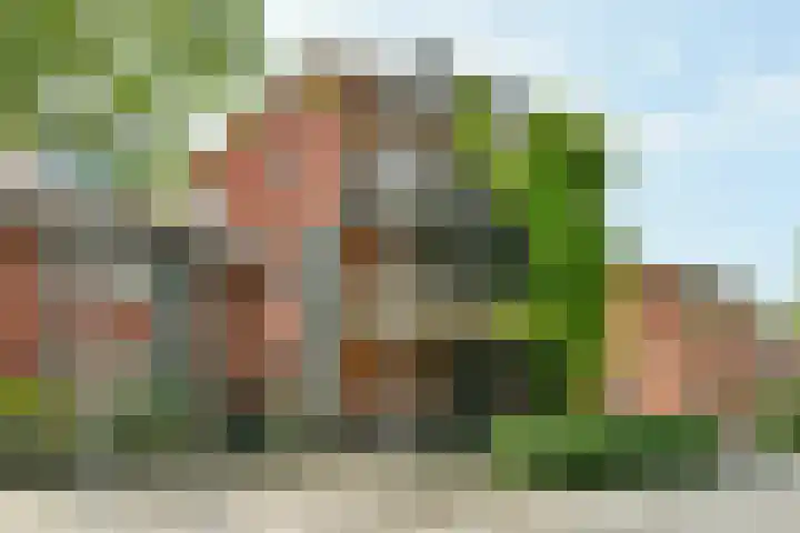 Samba 6 Nieuw-Vennep thumbnail 26