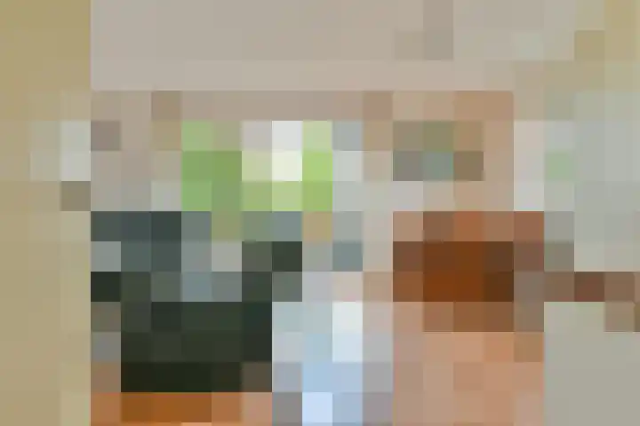 Samba 6 Nieuw-Vennep thumbnail 8