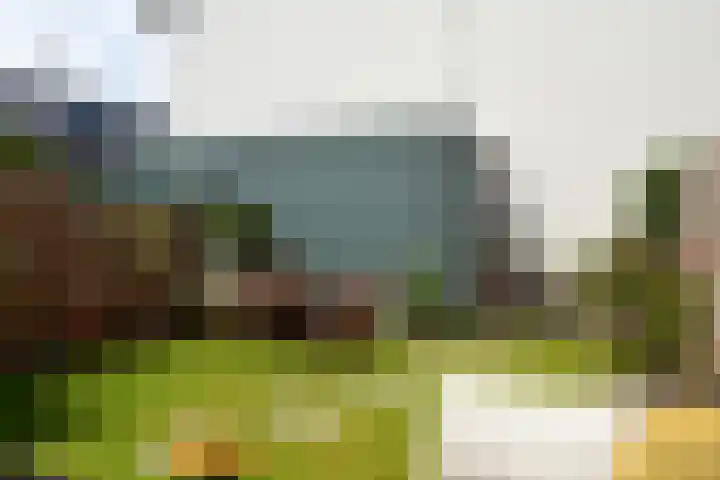 Sambalweg 10 Utrecht thumbnail 12
