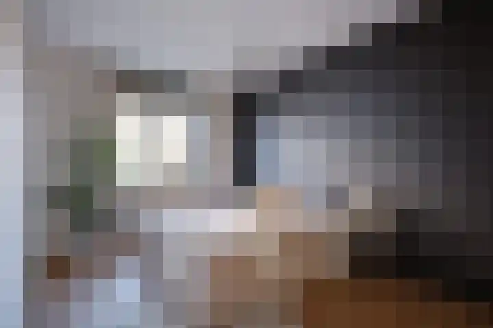Sambalweg 10 Utrecht thumbnail 20