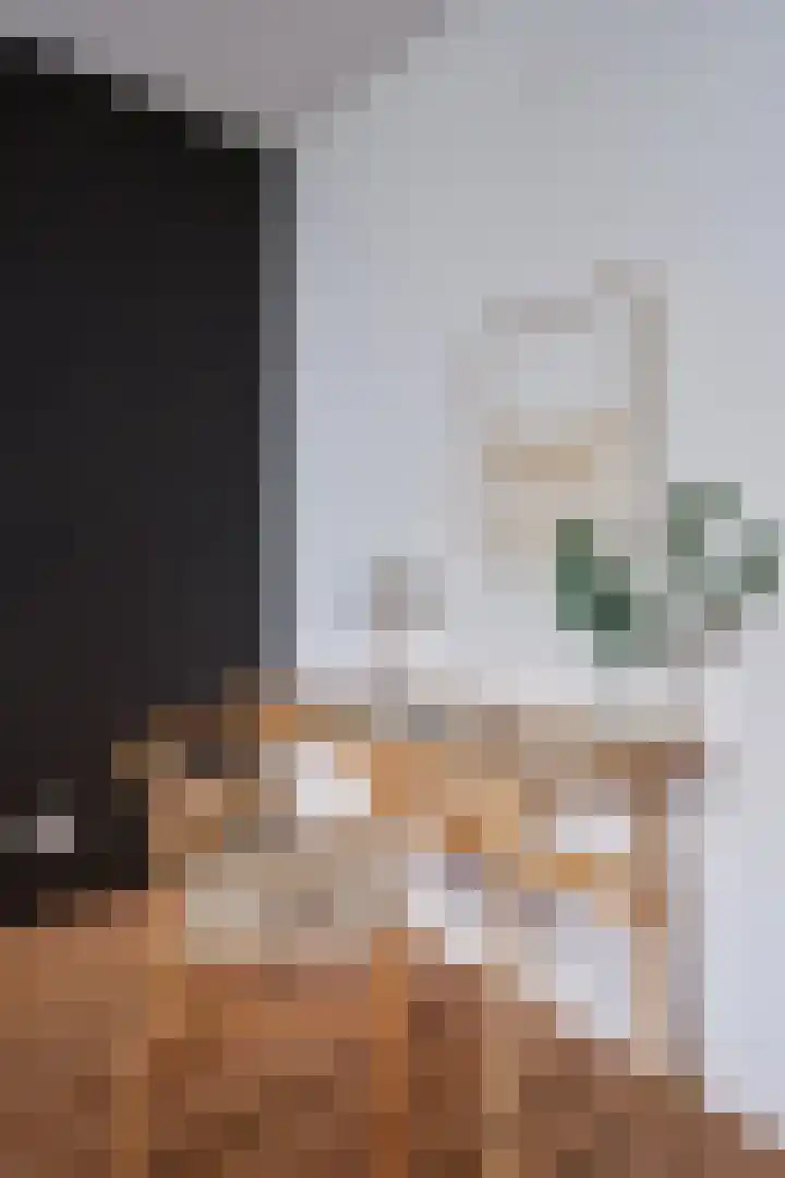 Sambalweg 10 Utrecht thumbnail 22