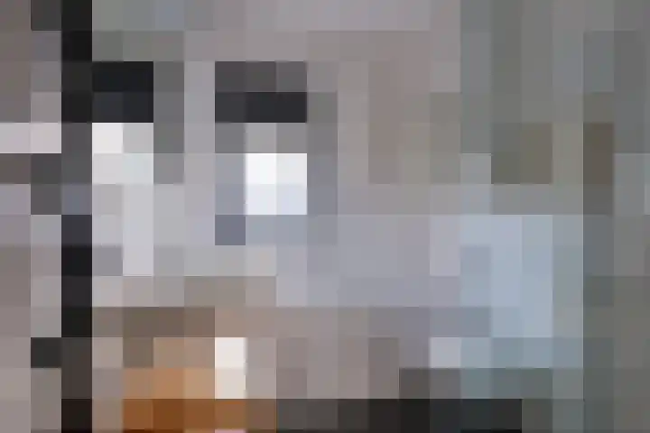 Sambalweg 10 Utrecht thumbnail 26