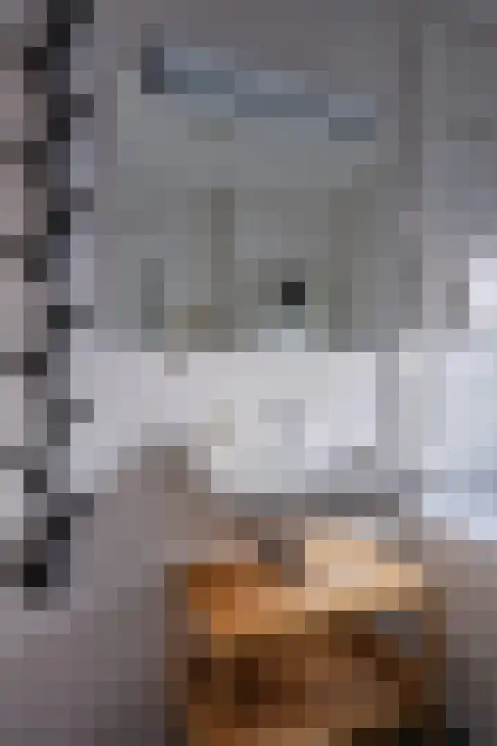 Sambalweg 10 Utrecht thumbnail 27