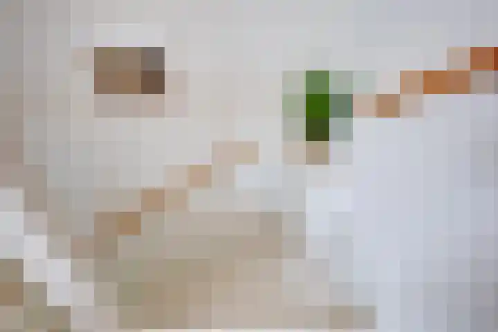 Sambalweg 10 Utrecht thumbnail 29