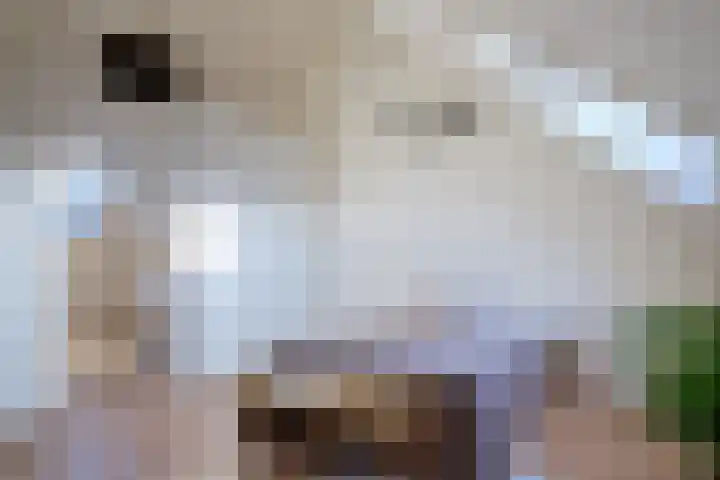 Sambalweg 10 Utrecht thumbnail 30