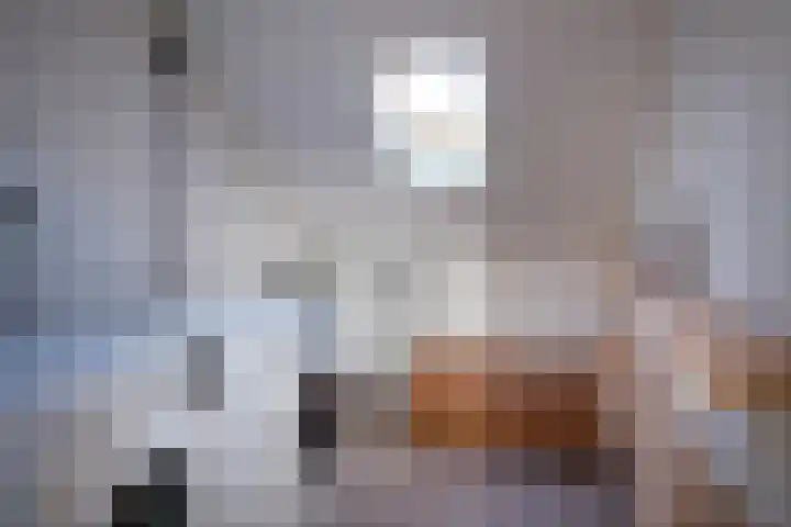 Sambalweg 10 Utrecht thumbnail 32