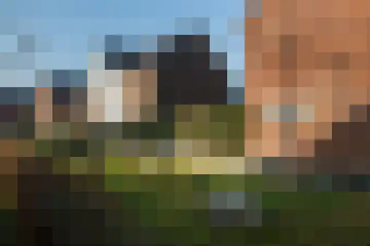 Sambalweg 10 Utrecht thumbnail 36