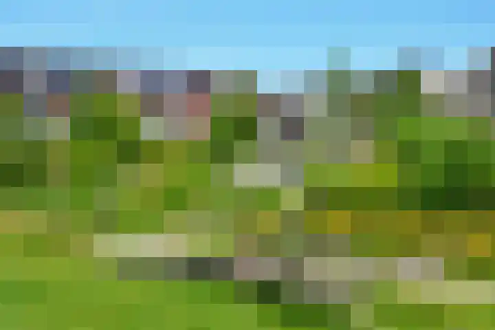 Sambalweg 10 Utrecht thumbnail 38