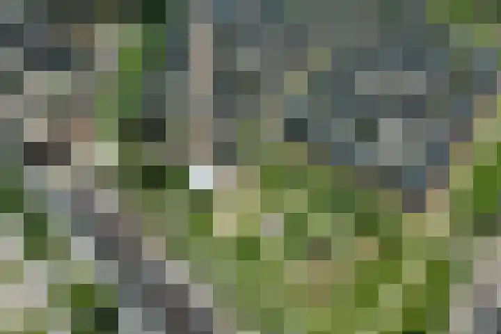 Sambalweg 10 Utrecht thumbnail 40