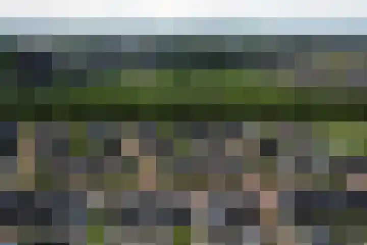 Sambalweg 10 Utrecht thumbnail 41