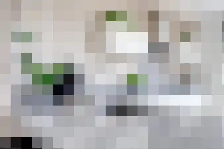 Sambalweg 8 Utrecht thumbnail 20