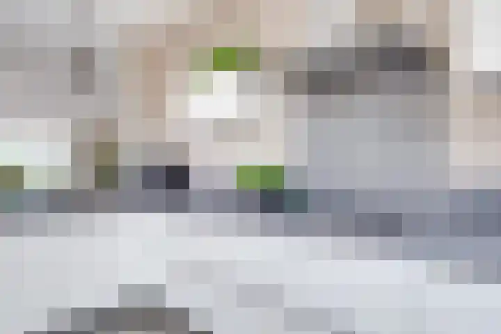 Sambalweg 8 Utrecht thumbnail 24