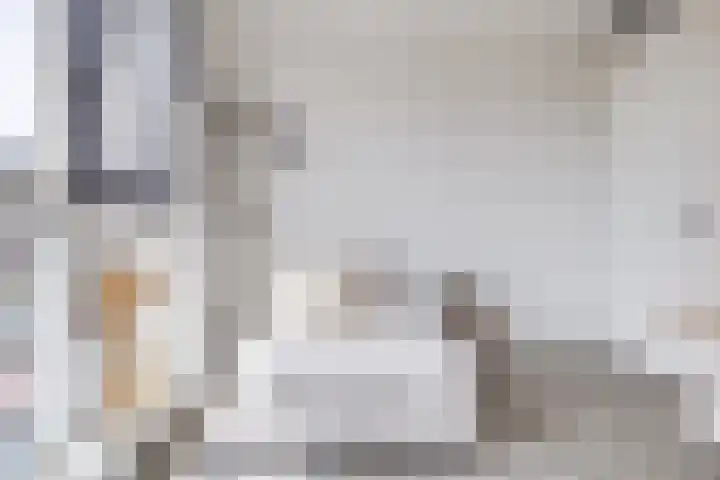 Sambalweg 8 Utrecht thumbnail 37