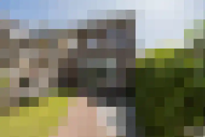 Sambalweg 8 Utrecht thumbnail 54