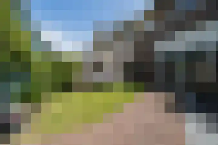 Sambalweg 8 Utrecht thumbnail 57