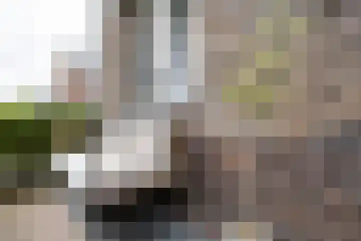 Sambalweg 8 Utrecht thumbnail 61
