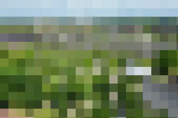 Sambalweg 8 Utrecht thumbnail 63