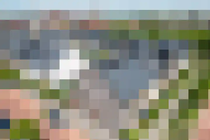 Sambalweg 8 Utrecht thumbnail 65
