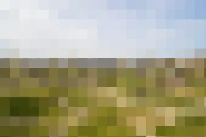 Sambalweg 8 Utrecht thumbnail 66