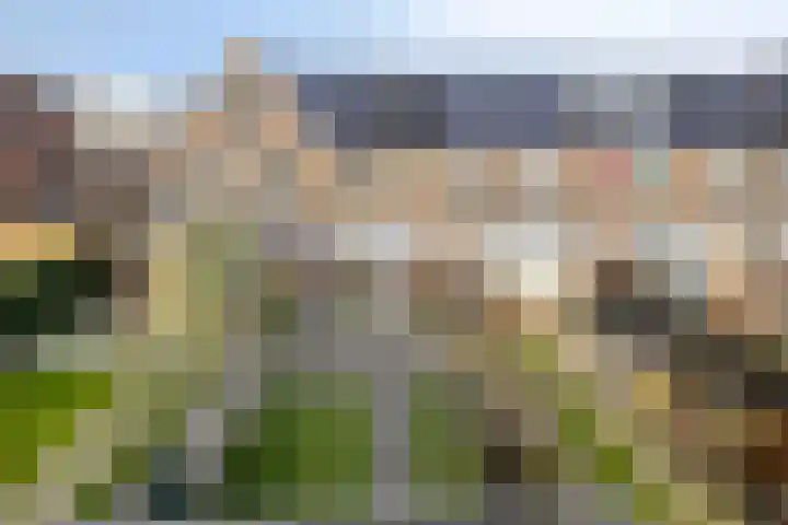 Sambastraat 6 Apeldoorn thumbnail 29