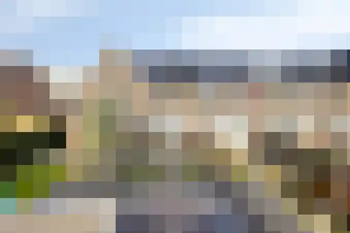 Sambastraat 6 Apeldoorn thumbnail 30