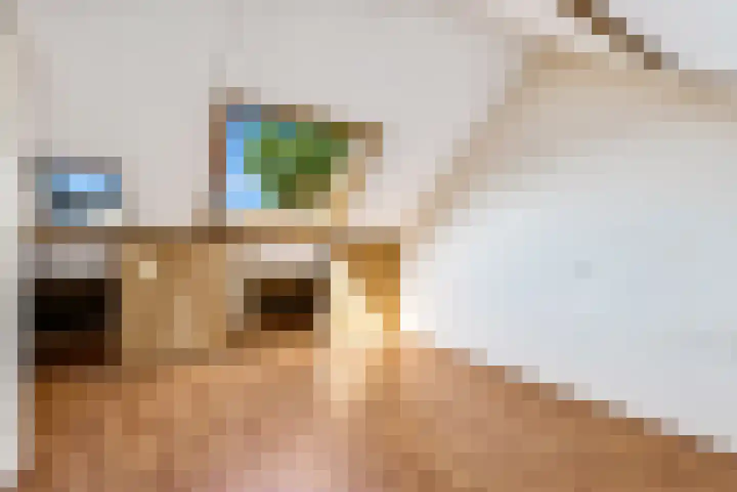 Sambastraat 71 Almere thumbnail 32