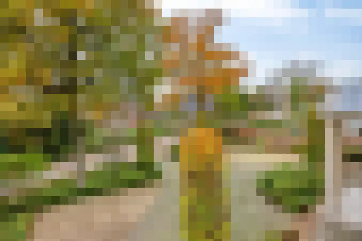 Sambeekseweg 12 a Boxmeer thumbnail 13