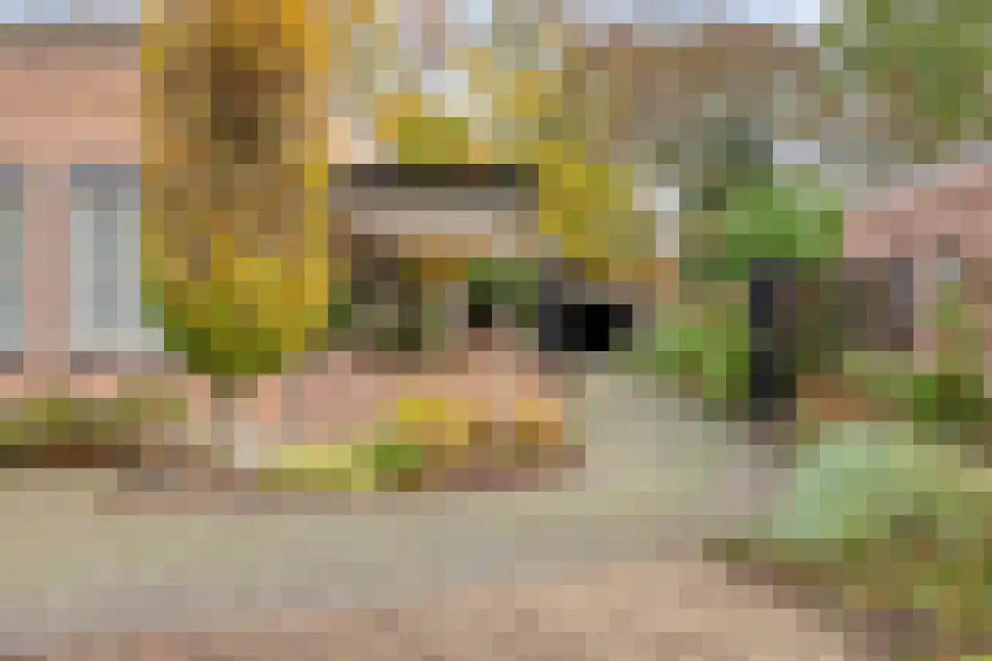Sambeekseweg 12 a Boxmeer thumbnail 14