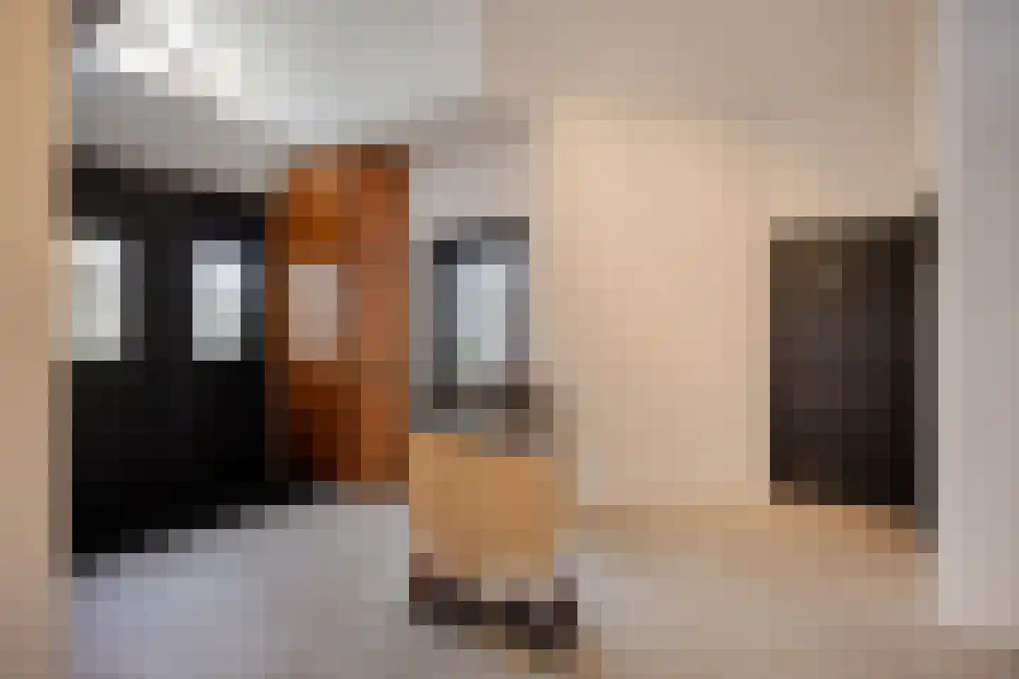 Sambeekseweg 12 a Boxmeer thumbnail 19