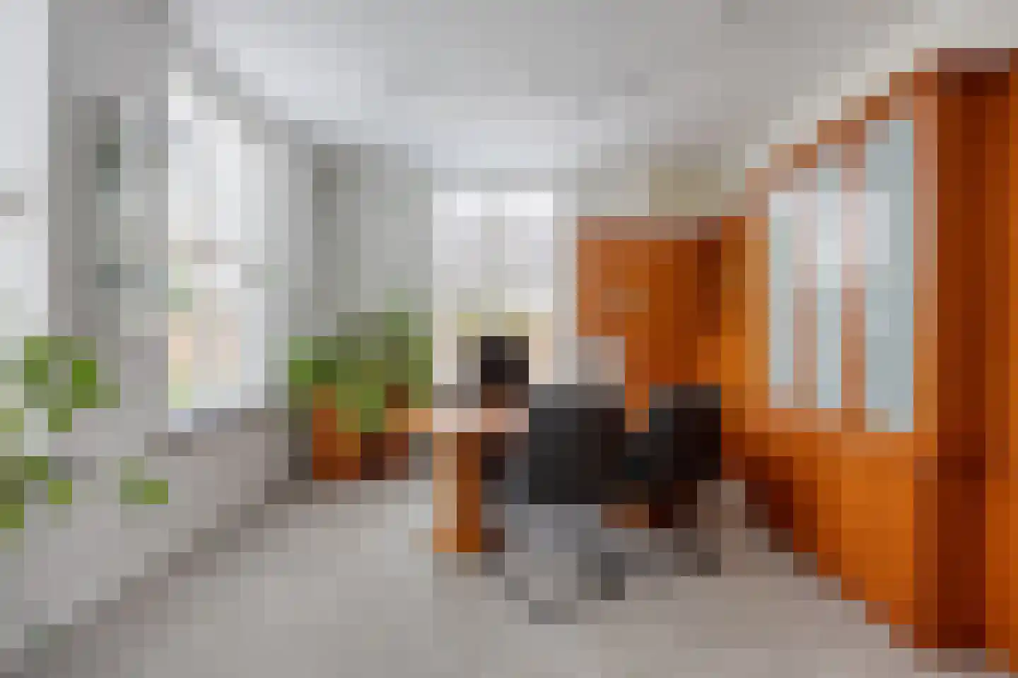 Sambeekseweg 12 a Boxmeer thumbnail 39