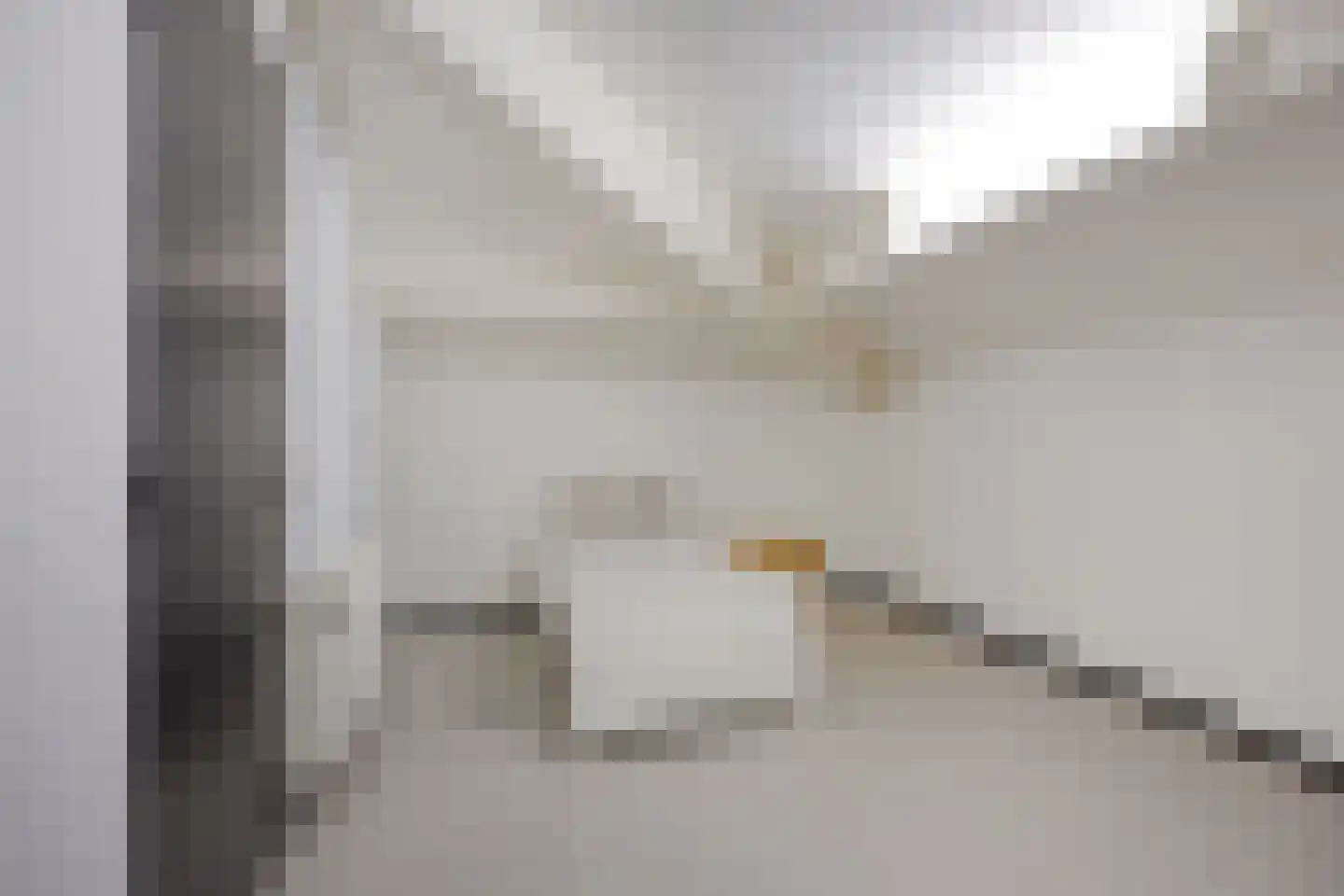 Sambeekseweg 12 a Boxmeer thumbnail 42