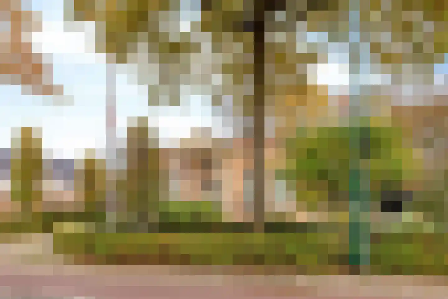 Sambeekseweg 12 a Boxmeer thumbnail 5