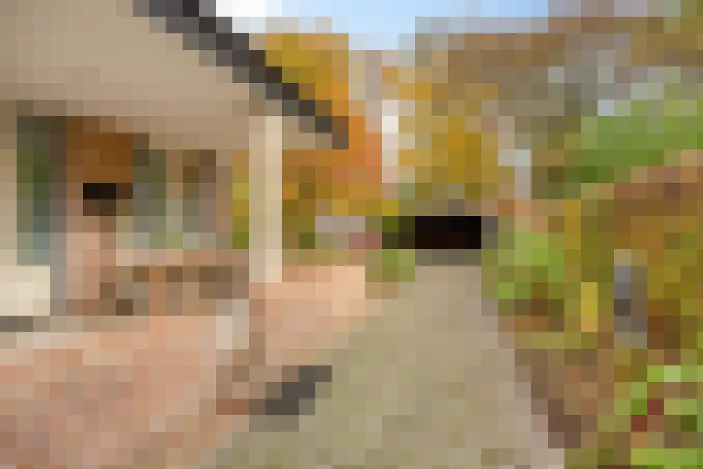 Sambeekseweg 12 a Boxmeer thumbnail 50