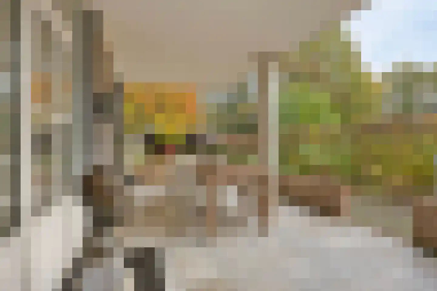 Sambeekseweg 12 a Boxmeer thumbnail 51