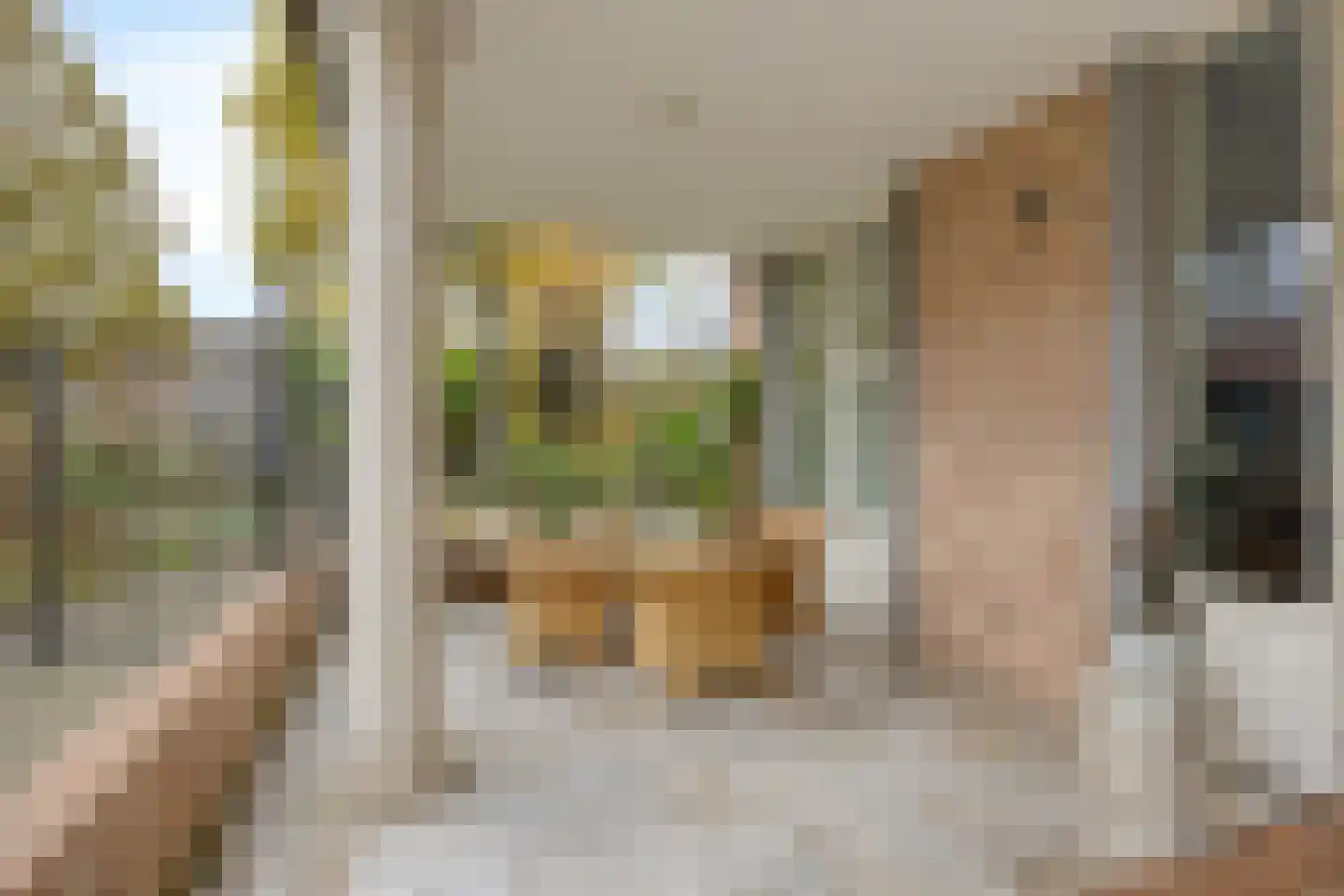 Sambeekseweg 12 a Boxmeer thumbnail 52