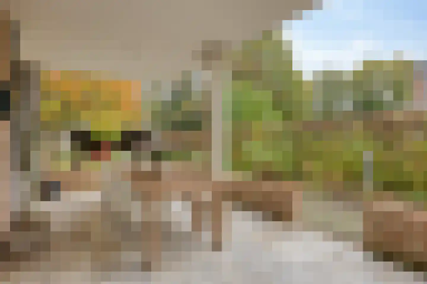 Sambeekseweg 12 a Boxmeer thumbnail 53