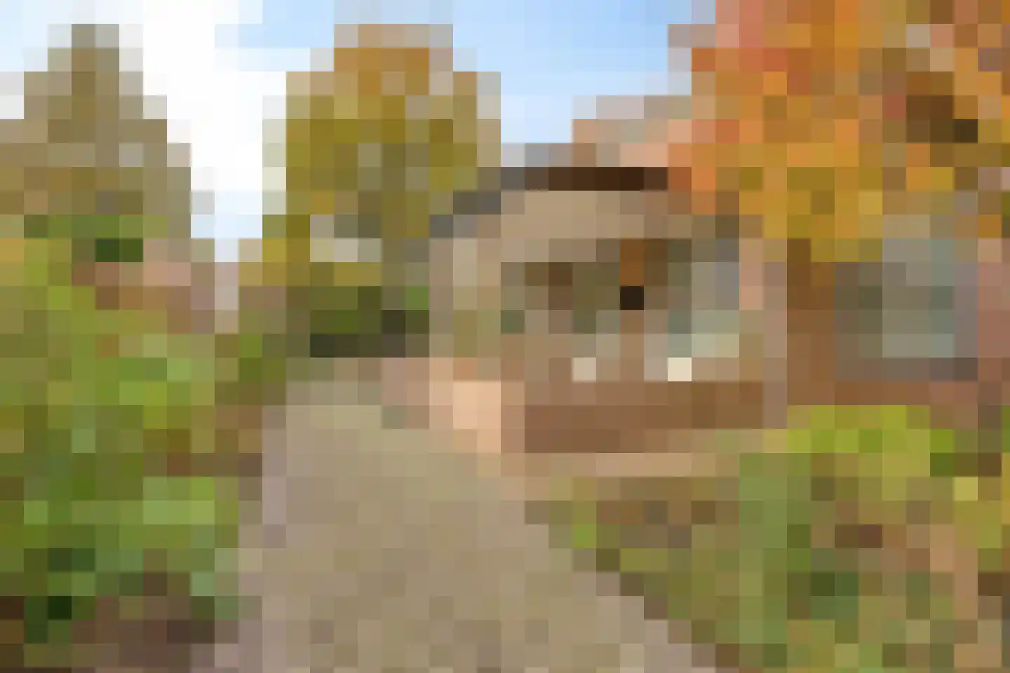 Sambeekseweg 12 a Boxmeer thumbnail 54
