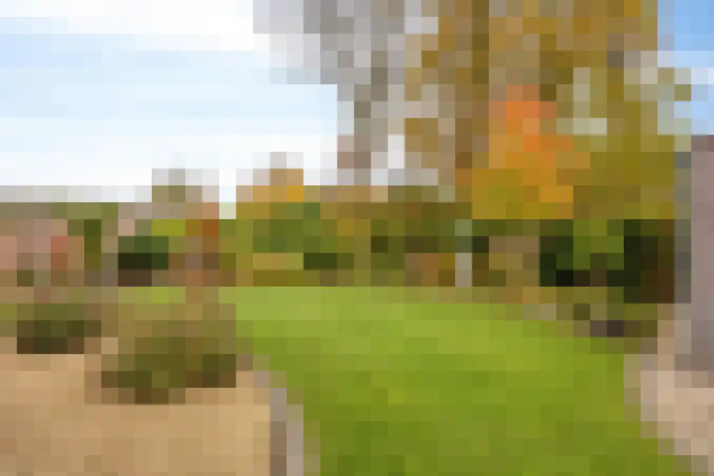 Sambeekseweg 12 a Boxmeer thumbnail 62