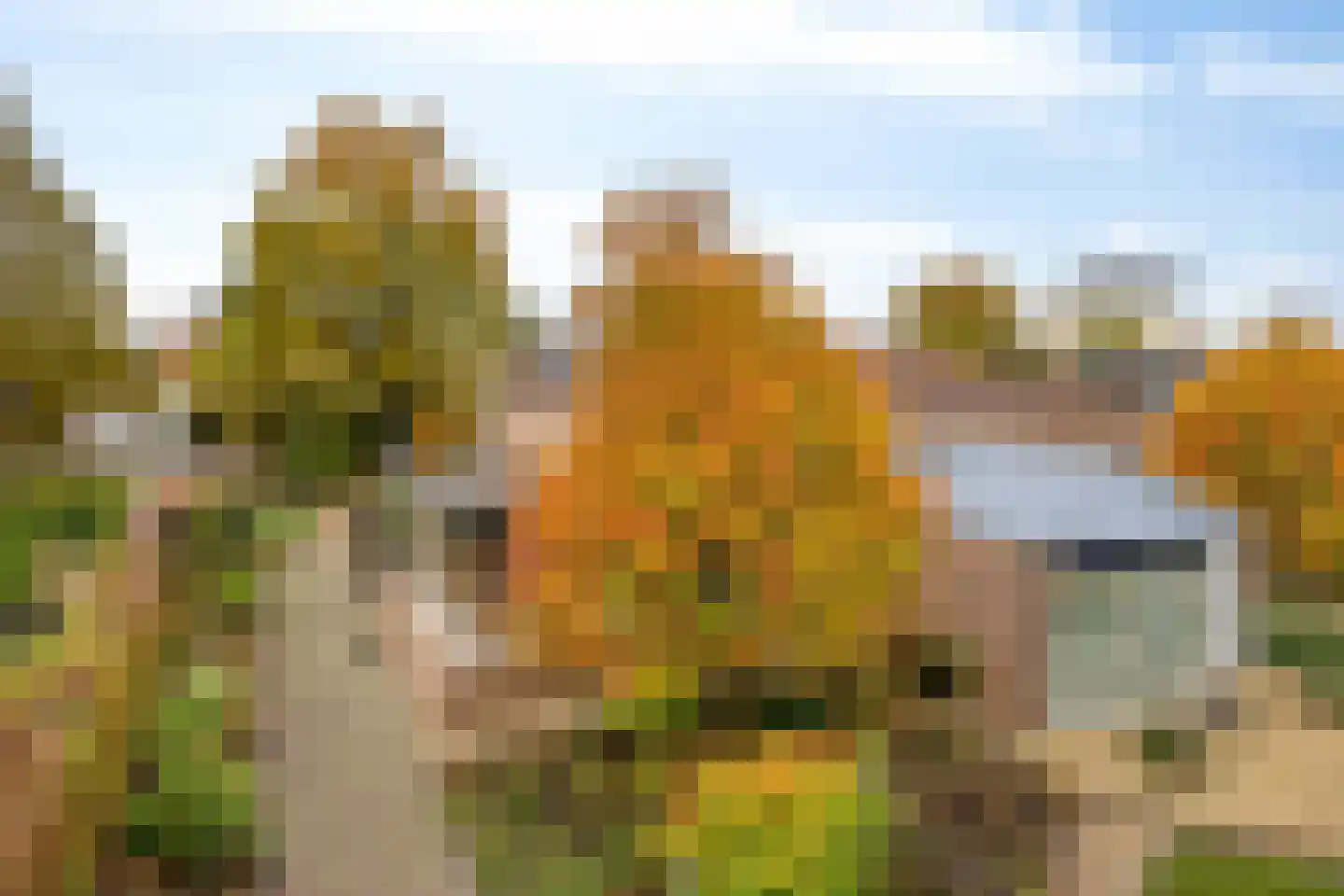 Sambeekseweg 12 a Boxmeer thumbnail 64