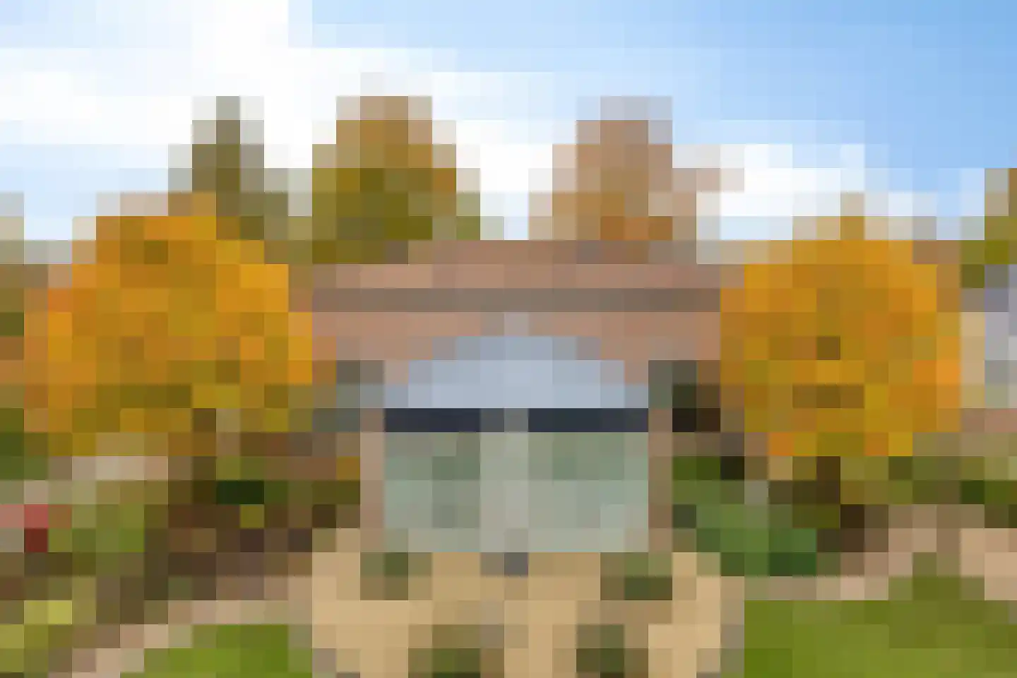 Sambeekseweg 12 a Boxmeer thumbnail 65