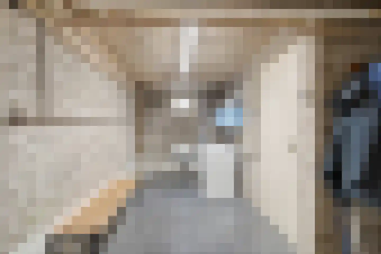 Sambeekseweg 21 Boxmeer thumbnail 32