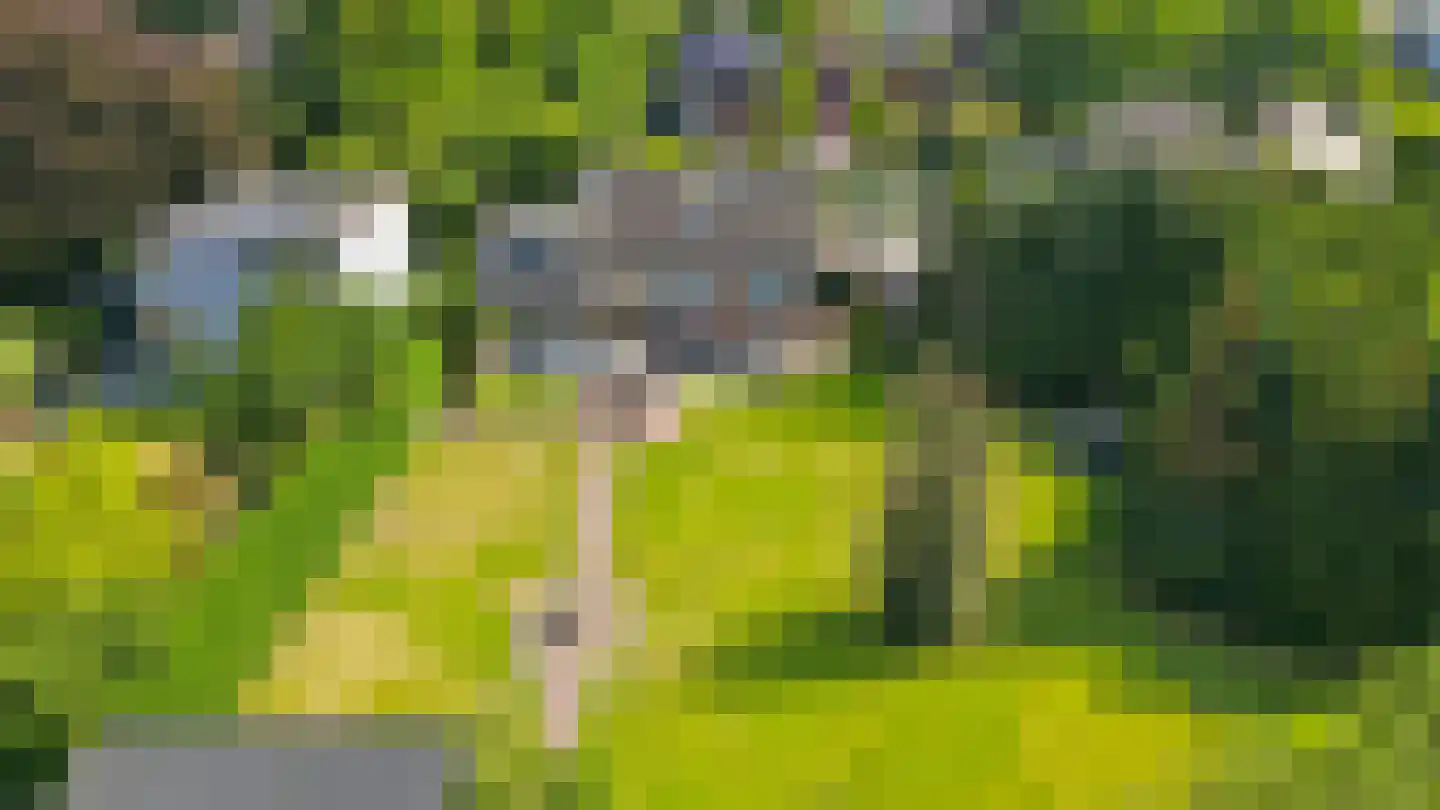 Sambeekseweg 21 Boxmeer thumbnail 38