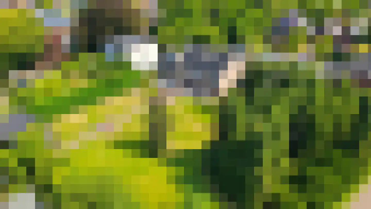 Sambeekseweg 21 Boxmeer thumbnail 39