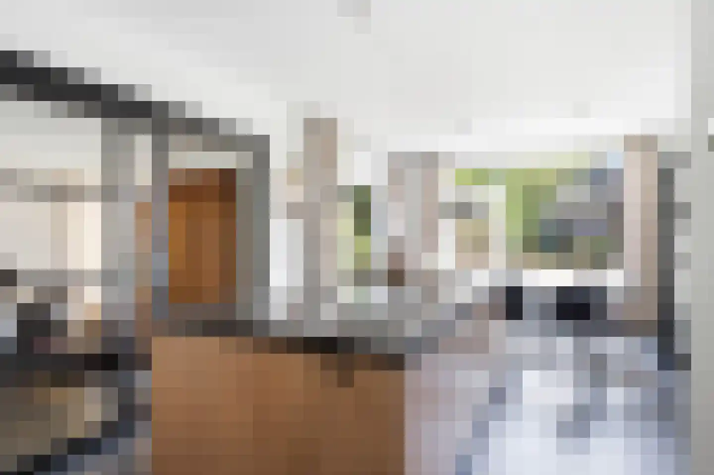 Sambeekseweg 21 Boxmeer thumbnail 4